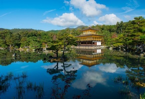 Япония, Храмы, Пруд, Киото, Kinkaku-ji, Rokuon-ji, Kita, Деревья, Города