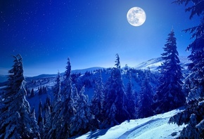 landscape, nature, mountains, forest, night, moon, snow