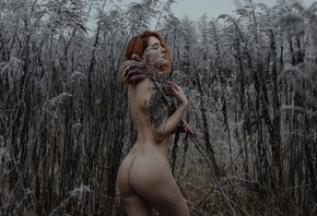 �������, �����, �����, �� �������, ���� ��������