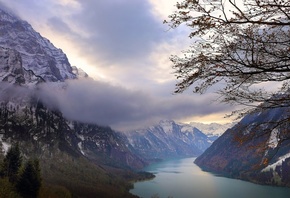 ����, ������, ���, ����