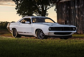 american, classic, car, plymouth, cuda