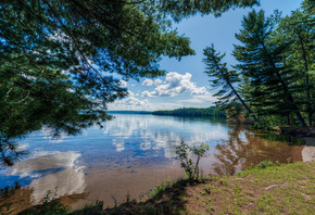 ������, �����, Bark Lake, �������, ������, ���������, �������