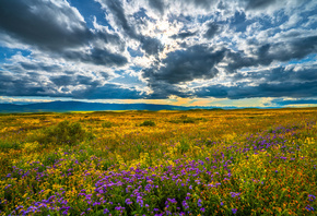 , , , Carrizo, Plain, National, Monument, , , 