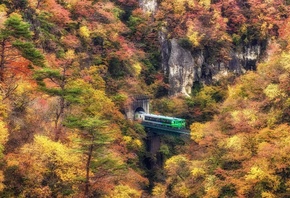 горы, лес, осень, тоннель, мост, поезд