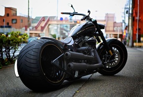 harley davidson, , 