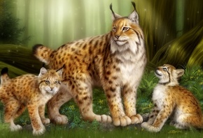 ����, ������, ���