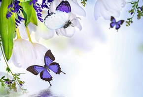 Бабочки, летают, над, водой, среди, фиолетовых, цветов