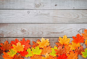 , , , , colorful, wood, background, autumn, leaves,  ...