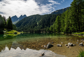 Швейцария, Горы, Озеро, Lago de, Palpuogna, Альпы, Деревья, Природа