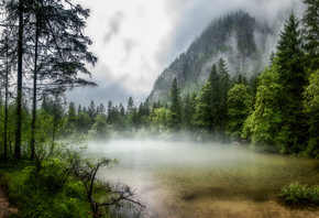 Австрия, Горы, Озеро, Obertraun, Деревья, Туман, Природа