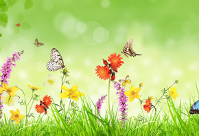 бабочки, весна, цветы, фотошоп, растения, трава