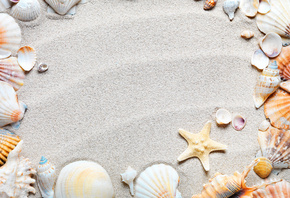 белый, песок, пляж, ракушки, морские, звёзды, линии, на, песке