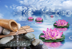 pink, water, lotus, flowers, the, sky, water, clouds, flowers, stones, bamboo, HD, wallpaper