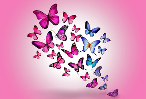 assorted, color, butterfly, wallpaper, butterfly, drawing, flying, colorful ...