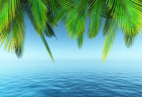 море, лето, небо, пальмы, листья, голубая, вода, небо