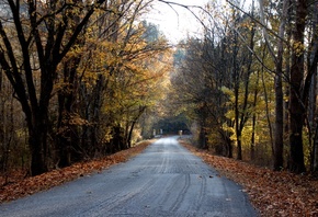 ������, ���, �����