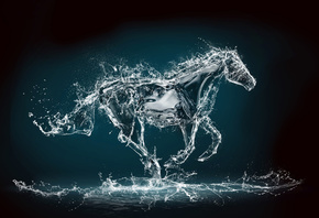 лошадь, животное, вода, креатив, бег, графика