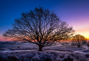 обои природа, небо, rheden, закат, нидерланды, зима, guelders, деревья, иней природа, небо, rheden, закат, нидерланды, зима, guelders, деревья, иней