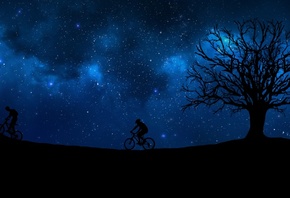 ночь, звезды, дерево, велосипедисты