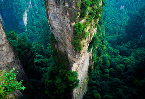 , , , , , , , , , , , , , 