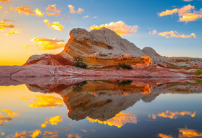 , , white, , , , , , , pocket, arizona, 