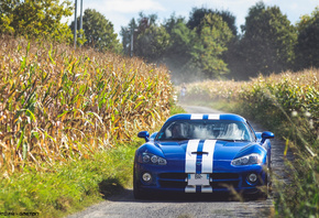 Dodge, Viper, SRT10 ACR