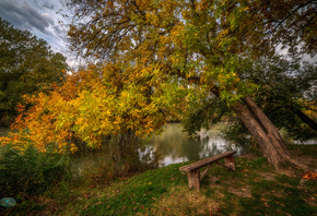 осень, деревья, пейзаж, природа, берег, лавка, водоём, Александр Плеханов