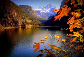 природа, пейзаж, осень, листья, горы, ветки, озеро, Австрия, Альпы, Верхняя Австрия, Озеро Гозау