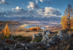 ���, �����, �������