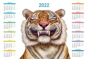  , 2022