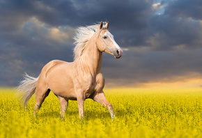 , , , , , , , , , , , 