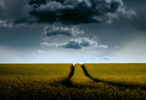 ����, ����, ����, ������