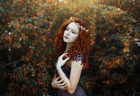 �������, �����, �������