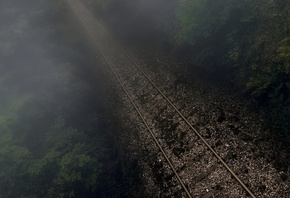 лес, железная дорога, туман