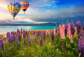воздушные шары, пейзаж, цветы