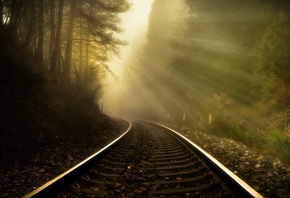 утро, туман, лес, железная дорога