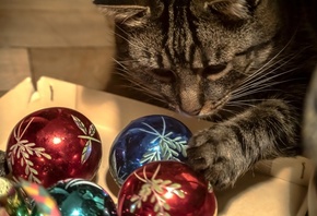 кошка, новый год, игрушки, шары