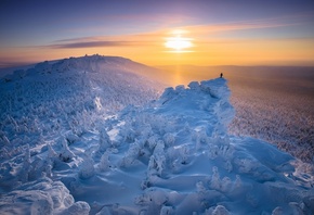 ������ �������, ����, ����