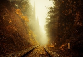 �����, ���, �������� ������, �����