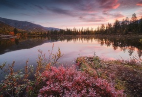 �����, �����, ����, �������� �������