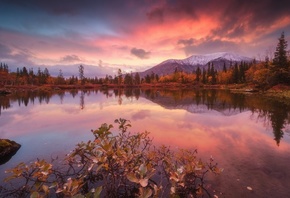 �����, ����, �������� �������