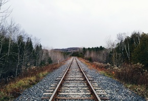 ���, �������� ������