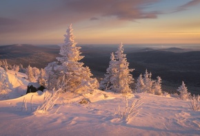 ����, ����, �������, ����, ������ �������