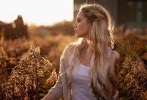 jurgen bauer, �������, �������