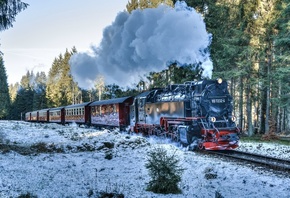лес, снег, железная дорога, поезд, дым
