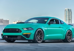 ford, mustang, roush, 729