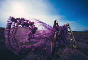 �������, ����, �������, �������, �������