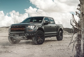 ford, f150, raptor