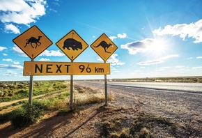 Australia, , , Nullarbor Plain, adventure