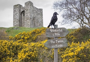 Northern Ireland, Game of Thrones,  , tourism